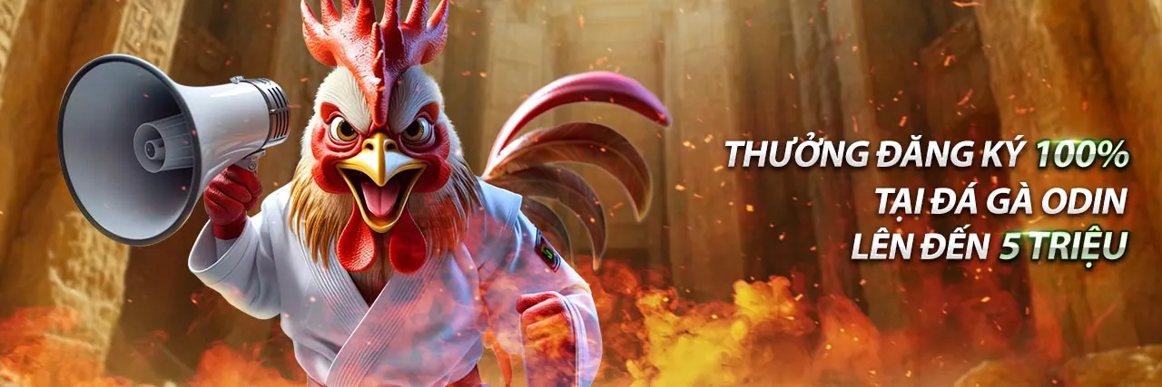 Hình ảnh tổng quan nền tảng cá cược trực tuyến Sun52 Đăng Ký 2026