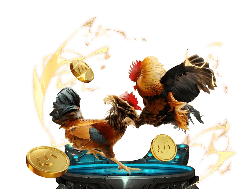 Cam kết của Sun52